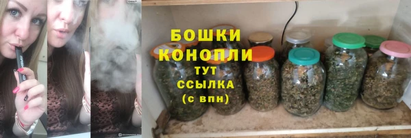 дживик Заводоуковск