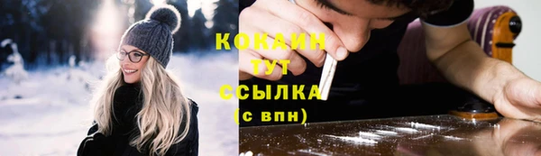 дживик Заводоуковск