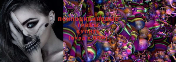 гашик Заволжск