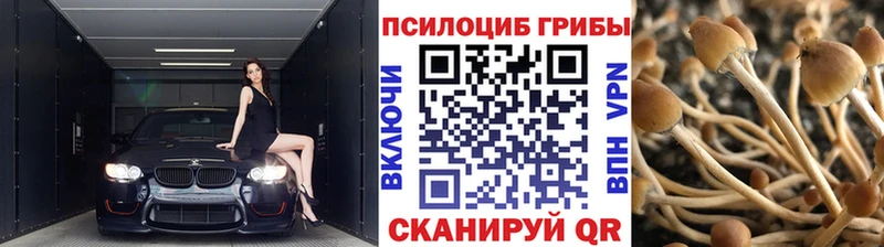 Галлюциногенные грибы мухоморы  Купить  Мостовской 